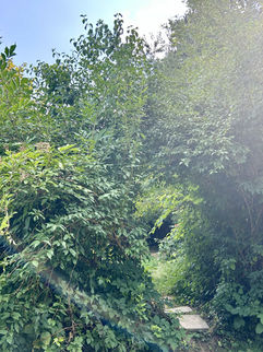 Outdoor Fotoshooting Frankfurt Usingen