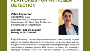 PhD public presentation by Zahra Halvorsen