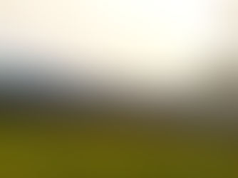 Wind Damage in Lilongwe