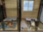 Boarding suites.jpg