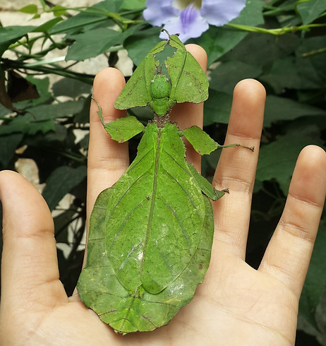 20150709_124520.jpg