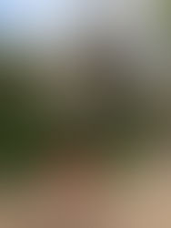 Claire Antoine inspirée par Teresa Blanc