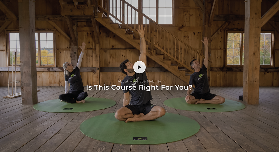 スクリーンショット 2024-07-15 14.39.17.png