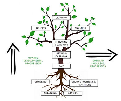 MovNat Tree.jpg