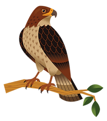 Hawk.png