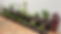F69BDAF3-261E-4C44-8327-ABDF867B6ED6.jpg