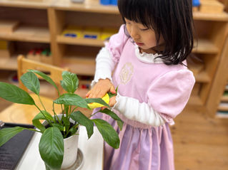 環境を大切にする心を育てる 〜葉っぱをきれいにしました〜