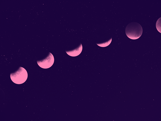 What are Moonshot Projects?