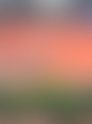 Gravelbak bijna klaar!