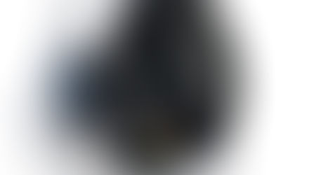 THE HEADSET WHICH WON THE HEARTS OF ALL