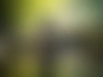 inner peace and calm