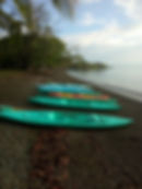 Kayak Tour, Golfo Dulce