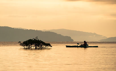 Kayak at sunrise.jpg