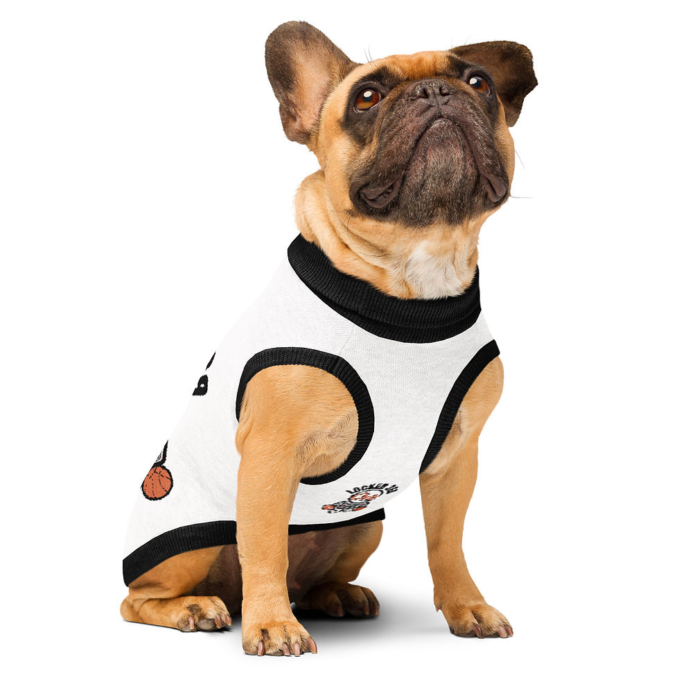 Thumbnail: "Collectors ORB" Knitted pet sweater