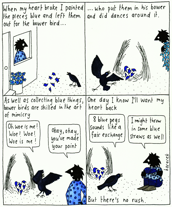 Lady & Bird Artist Author Illustrator