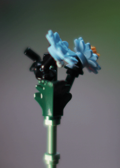 31373736-43d2-4f1e-ba54-92f86a69c1a0_rw_600.gif