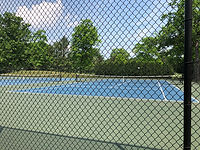 IMG_8651.jpeg