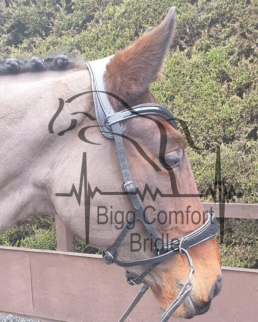 Thumbnail: Bigg Comfort Bitless Multi Bridle V2