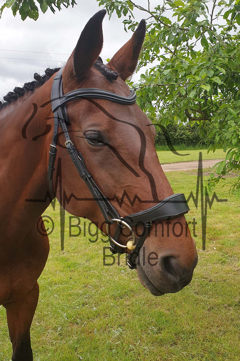 Thumbnail: Bigg Comfort Offset Flash Standard Headpiece Bridle