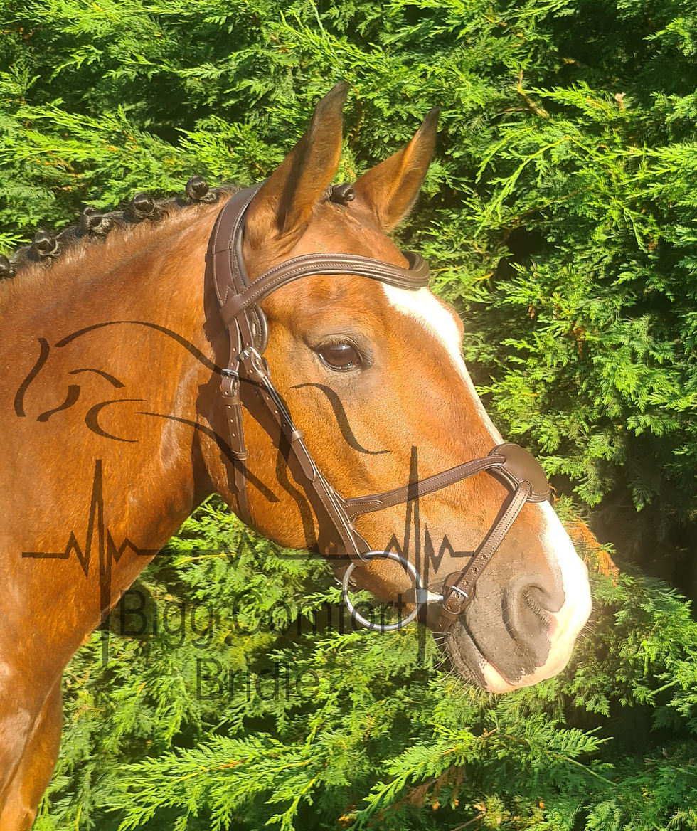 Thumbnail: Bigg Comfort Low Profile Grackle Petite Headpiece Bridle