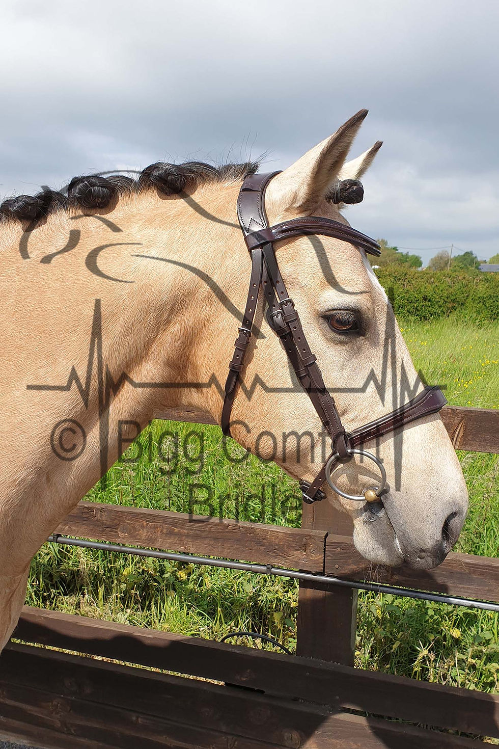 Thumbnail: Bigg Comfort Cavesson Petite Headpiece Bridle