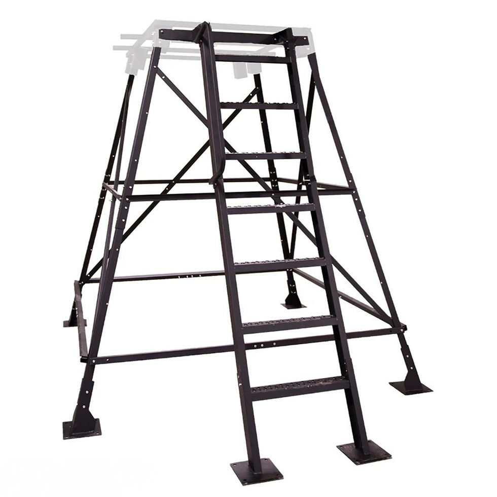Untitled design (7)_edited.jpg