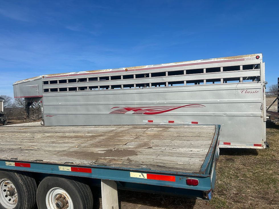 2003 Titan 22ft Stocktrailer