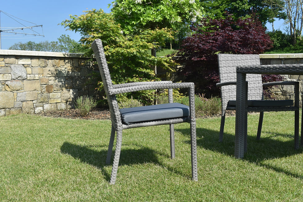 Thumbnail: naples rattan armchair side view