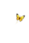file_00000000f6a4720a88e650aff0389da1 (1