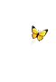 file_00000000f6a4720a88e650aff0389da1 (1