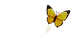 https://tenor.com/de/view/borboletas-butterflies-butterfly-beautiful-flying-gif-15280759