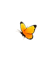 file_00000000d20471f4b4d11c9e4e05db2d(1).png