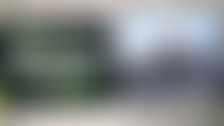 Petit Invest 40 - O que a Super Quarta indica para o futuro de Brasil e EUA