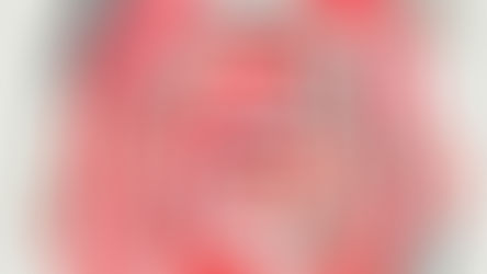 O Partido Republicano e o trumpismo