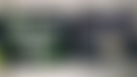 Petit Invest 29 - Racha no COPOM e incerteza no Brasil