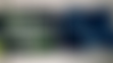 Petit Invest 42 - Como explicar a euforia que se segue ao pânico?