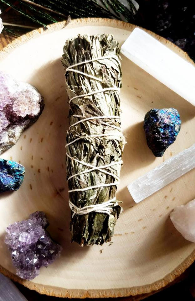 A Guide to Black Sage, Uses and Benefits.