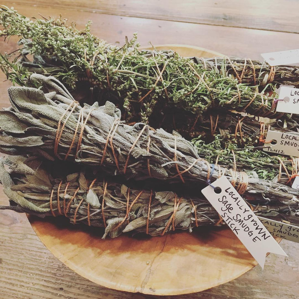 A Guide to Black Sage, Uses and Benefits.