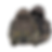 camo 2.png