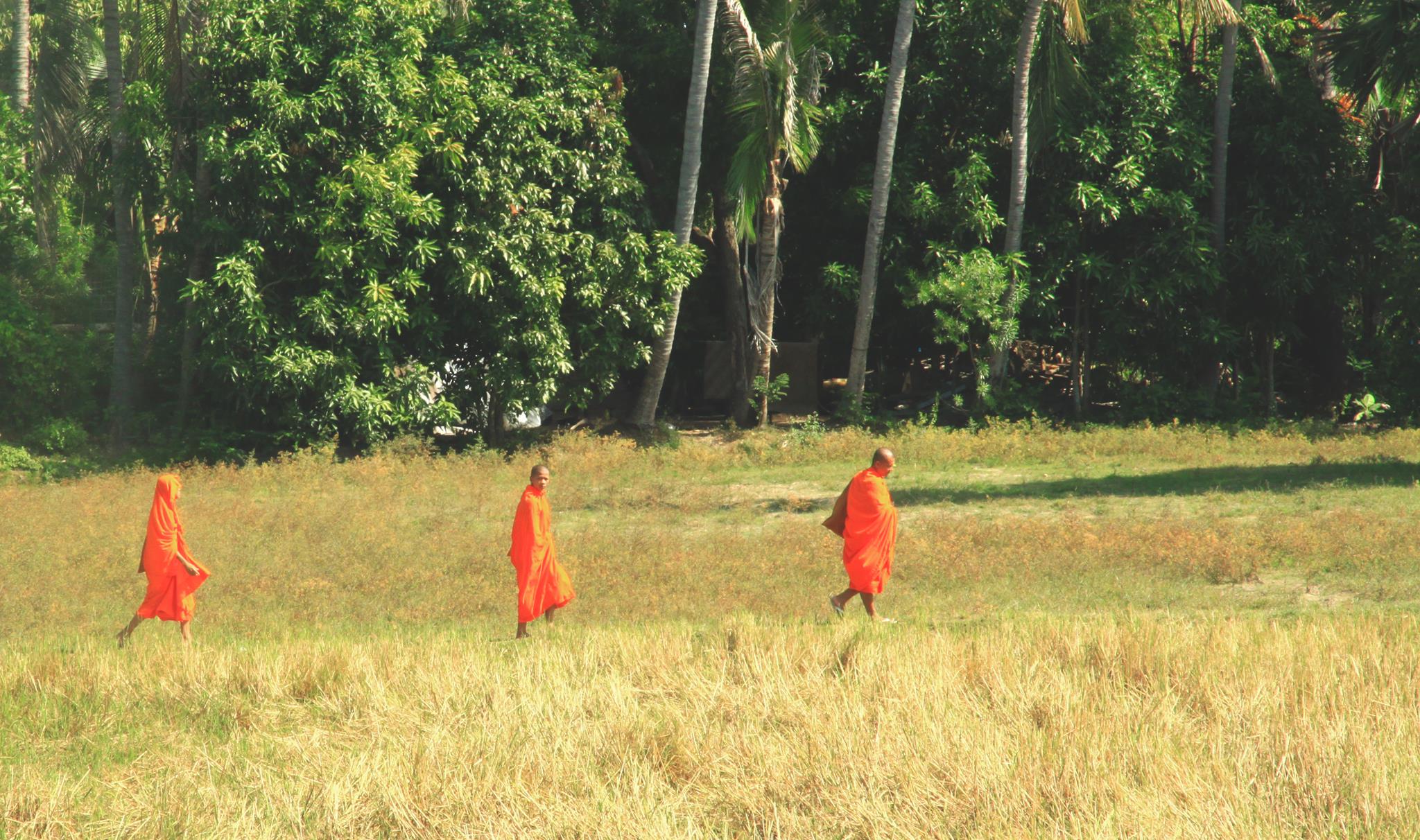 Monks are enroute