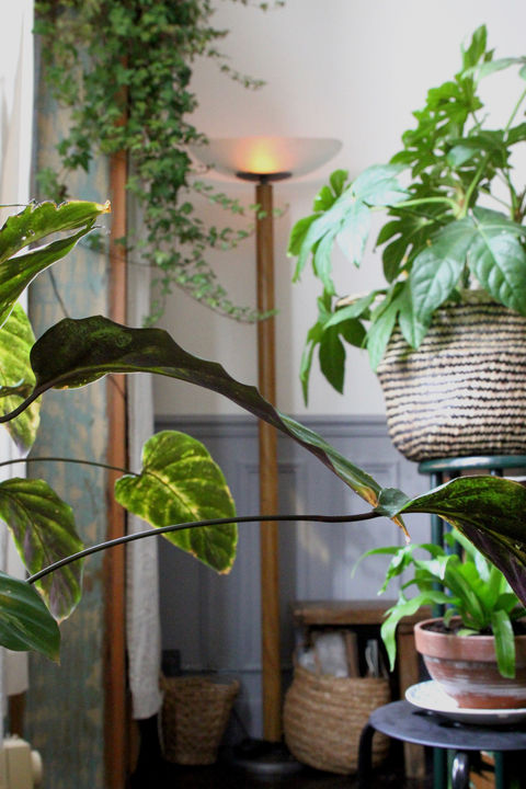 Décoration d'intérieur
Salon