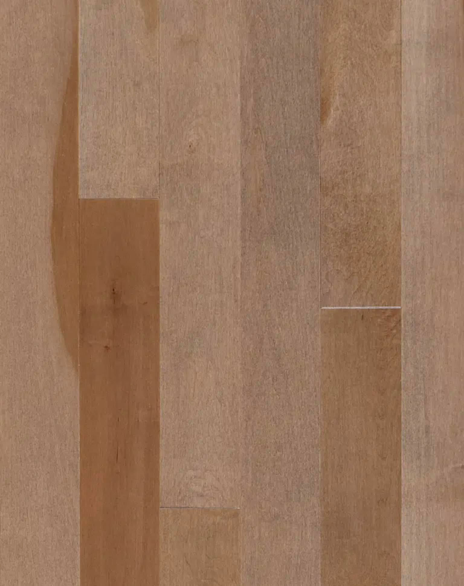 Superior Hardwood Maple Select - Cumin Smooth