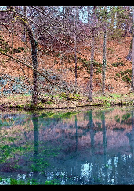 Bild von Stephan Walter.jpeg