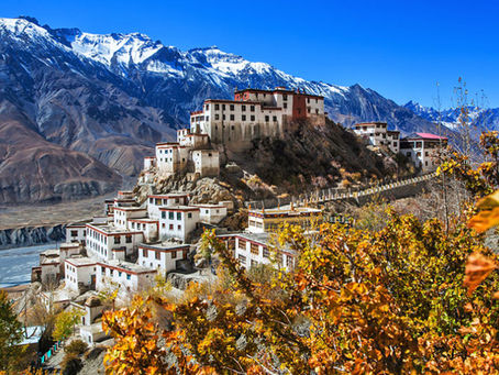 Benefits Of Hiring Best Travel Agent In ladakh