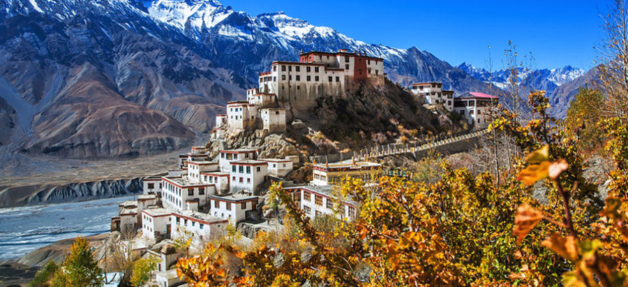 Benefits Of Hiring Best Travel Agent In ladakh
