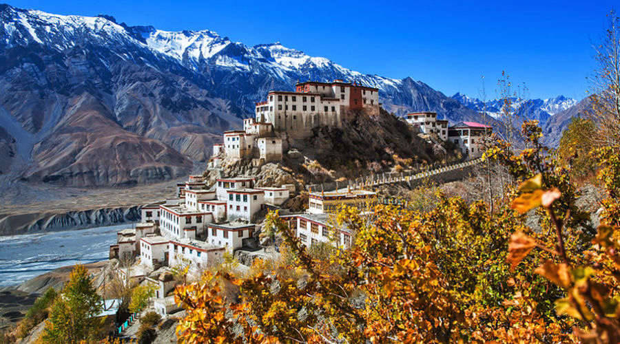 Best Travel Agent In ladakh
