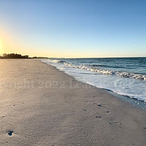 Your Estate Planning Mantra: Plan Early. Plan Often. Plan Well.