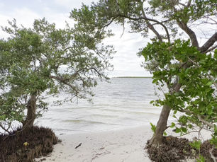 The Legal Capacity Spectrum