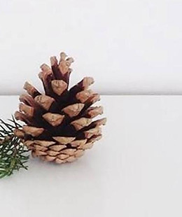 Merry Christmas - Kopie.jpg