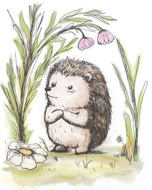 Illustrator Portfolio